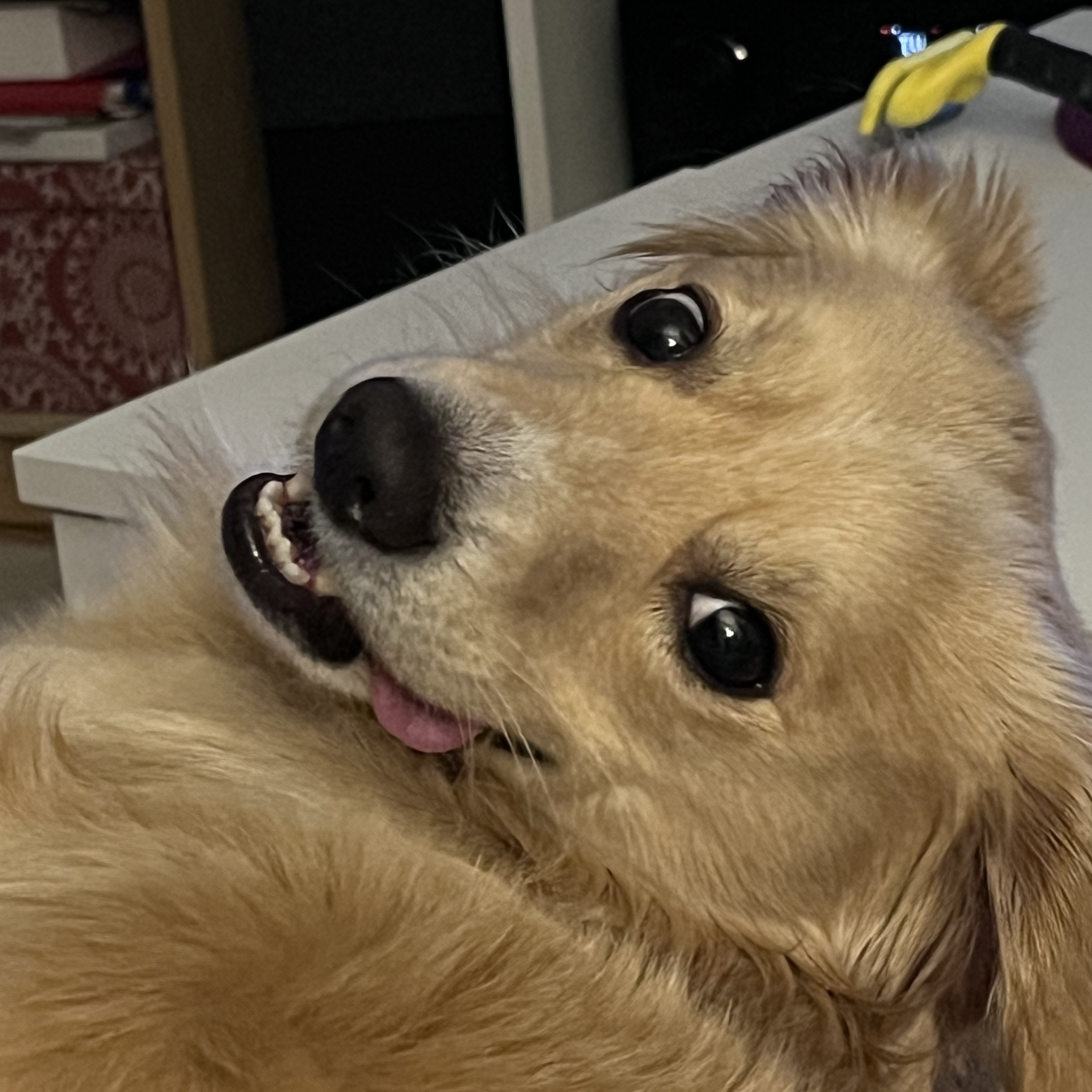 Čínska reštaurácia