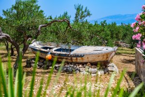 Island Getaway Heritage House